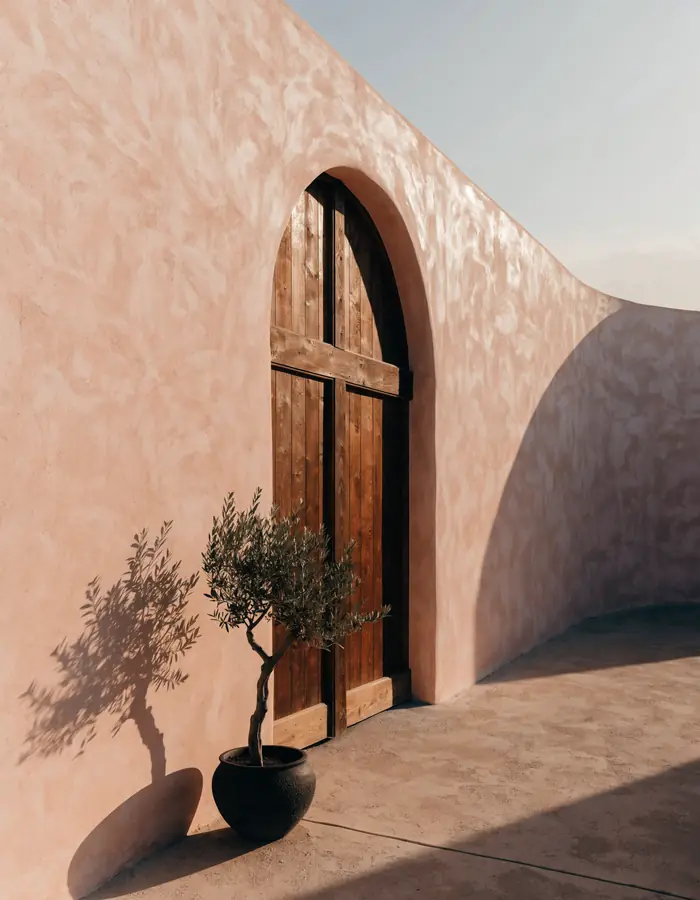 An arched oak door set in a curving blush plaster wall, an olive tree in a dark pot beside it, in low afternoon sun.